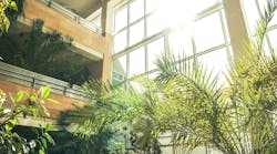 A Broader Cultural Shift Toward Health And Wellness Is Reflected Throughout The Design Industry In The Growth Of Biophilic Design