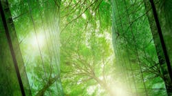 Adobe Stock 543191807