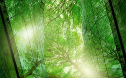 66fb17851a3f5984ccd4ff6e Adobestock 543191807