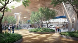 Benefits Of Biophilia 2 0