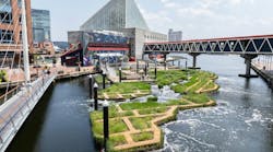 Baltimore’s National Aquarium opens 10,000-sf floating wetland that mimics the harbor’s original tidal marsh habitat, Photo: Philip Smith, National Aquarium