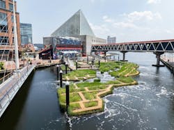 Baltimore’s National Aquarium opens 10,000-sf floating wetland that mimics the harbor’s original tidal marsh habitat, Photo: Philip Smith, National Aquarium