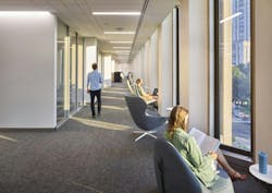 Students studying in library