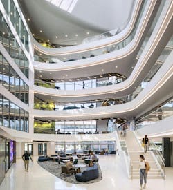 Hok%20 Emory%201