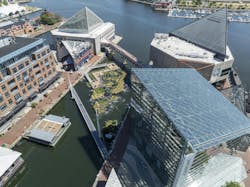 Baltimore’s National Aquarium opens 10,000-sf floating wetland that mimics the harbor’s original tidal marsh habitat. Photo: Philip Smith, National Aquarium
