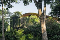 Touching Eden House by Wallflower Architecture + Design